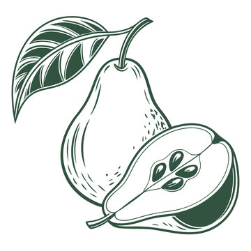 gorham pear with leaves