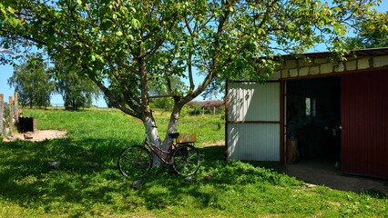 Fototapete bei efototapeten.de bestellen   