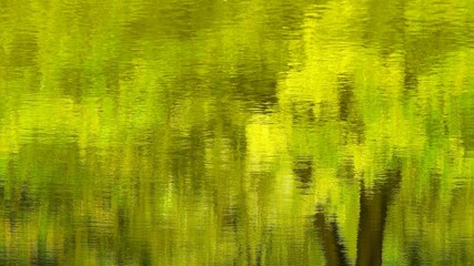 green grass background
