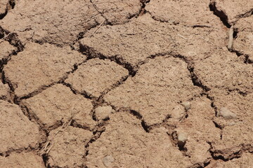 A dry and cracked soil