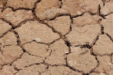 A dry and cracked soil