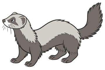  European Badger on Forest Path - Woodland Wildlife Illustration
