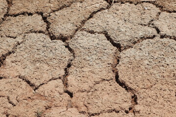 A dry and cracked soil