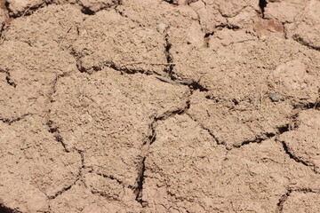 A dry and cracked soil