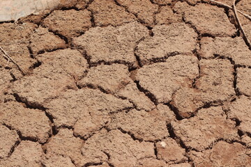 A dry and cracked soil