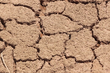 A dry and cracked soil
