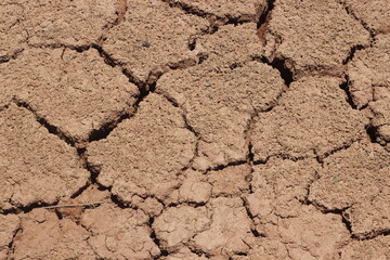 A dry and cracked soil