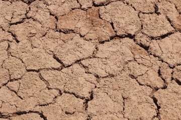A dry and cracked soil