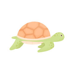 Cute sea turtle on a white background. Animals of the underwater world.