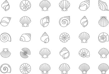 Seashell Line Icon Set, seashell, outline, line, vector, ocean, sea