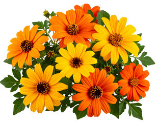 Montbretia Flower Spray in Rustic Glass Jar &ndash; Vintage Garden Mood