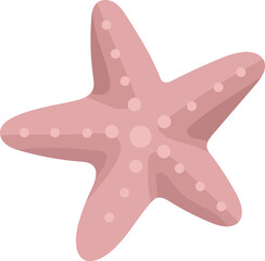 Obraz premium starfish isolated on white