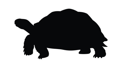 Silhouette of a tortoise walking on a white background