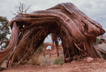 A View from Arches National Park in Moab, Utah