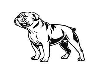 Obraz premium Bulldog dog silhouette vector illustration, pet clipart, black and white animal shape