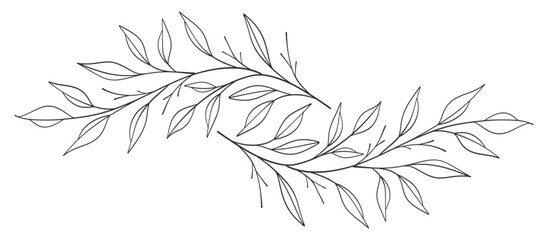 floral leaves line art isolated on white background. Divider doodle leaf and flowers, nature border decorative element vector illustration