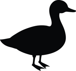 Long Tailed Duck with Elegant Tail Feathers Sea Bird in Motion Silhouette Vector