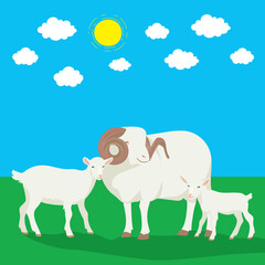 An idyllic scene featuring a serene adult sheep with prominent curved horns, standing between two adorable baby goats on green grass backdrop under a clear blue sky, fluffy white clouds, a bright sun