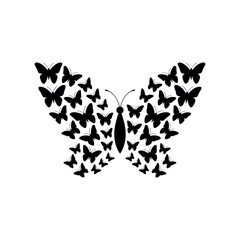 Butterfly  Silhouette