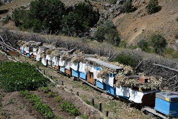 Beehives used for honey production in a village in the Zara district of Sivas province, Turkey