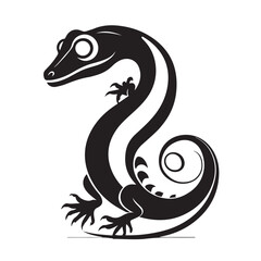 Fototapeta premium A black and white gecko with a curled tail is isolated on white background