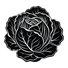 Obraz premium Fresh Cabbage Vegetable Black and White Illustration