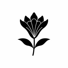  clean unique silhouette Indian Paintbrush Flower Icon vector illustration
