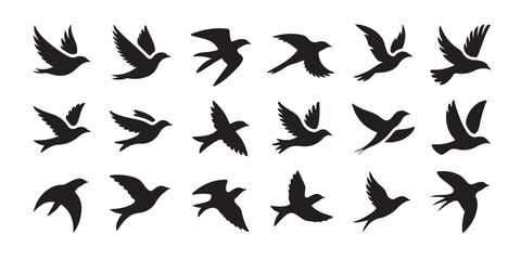 Obraz premium Silhouette Birds Soaring in Flight A Collection of Diverse Winged Creatures Portrayed in Black Against White Background