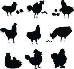Feathered Forms: Chicken, Rooster & Hen Silhouette Vector Pack
