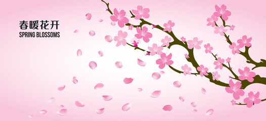 Obraz premium Pink blossom flowers blooming on tree, Chinese New Year Festive, Spring Festival, Family reunion dinner Chinese new year festive, Plum and peach blossoms floral decorations symbolize courage, hope