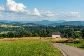 Fototapeta premium View bellow Tyniok hill summit in Beskid Slaski mountains in Poland