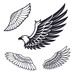 Set of wings icons. Wings icons. Bird wings, angel wings elements. Wing collection in different shape. Wings badges. Vector illustration	