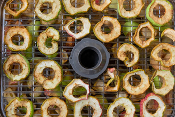 Dried apple slices arranged on a drying rack in a kitchen setting