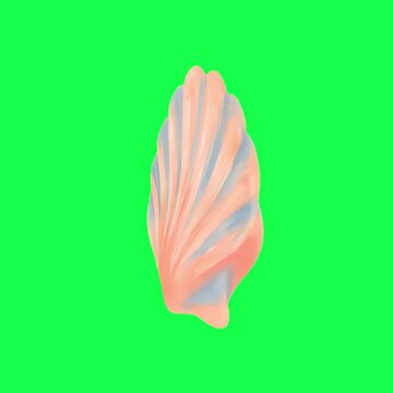 Pastel seashell animation, transparent 4K video, green screen
