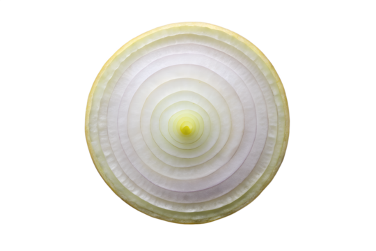 A crosssection of a white onion showing concentric rings isolated on transparent background