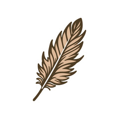 Fototapeta premium A detailed illustration of a delicate feather showcasing intricate patterns and textures