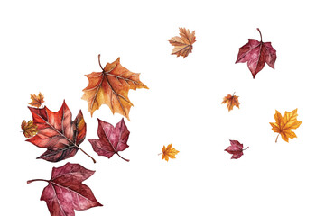 Adobe Illustrator Artwork