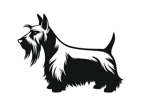 Scottish Terrier dog silhouette vector illustration, pet clipart, black and white animal shape