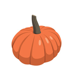 Realistic big orange pumpkin on white background - Vector illustration