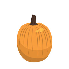 Realistic big orange pumpkin on white background - Vector illustration