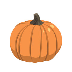 Realistic big orange pumpkin on white background - Vector illustration
