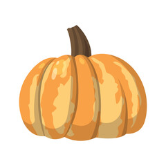 Realistic big orange pumpkin on white background - Vector illustration