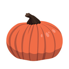 Realistic big orange pumpkin on white background - Vector illustration