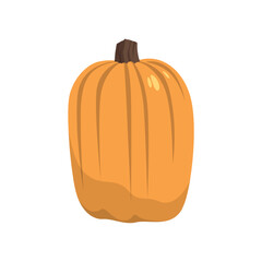 Realistic big orange pumpkin on white background - Vector illustration