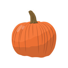 Realistic big orange pumpkin on white background - Vector illustration