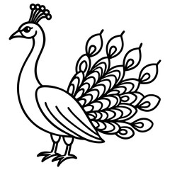 Elegant black and white line art illustration of a peacock
