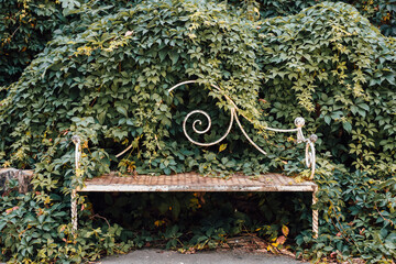 Overgrown bench surrounded by lush greenery in a tranquil outdoor setting