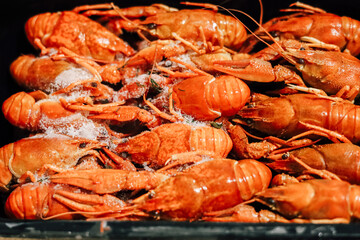 Freshly cooked crustaceans ready for serving at a coastal seafood festival
