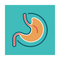 Stomach organ icon