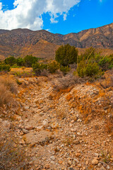 Guadalupe Mountains National Park  in west Texas